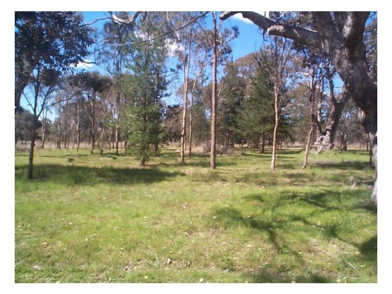 93 Old Coach Road, Dalveen QLD 4374