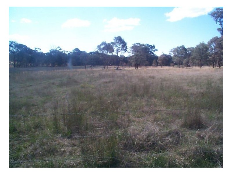 93 Old Coach Road, Dalveen QLD 4374