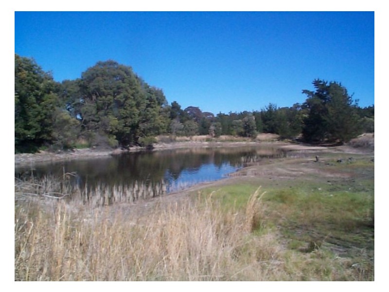 130 Browns Lane, Stanthorpe QLD 4380