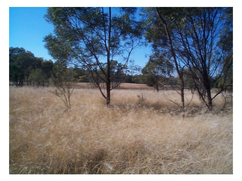 130 Browns Lane, Stanthorpe QLD 4380
