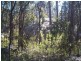 130 Browns Lane, Stanthorpe QLD 4380