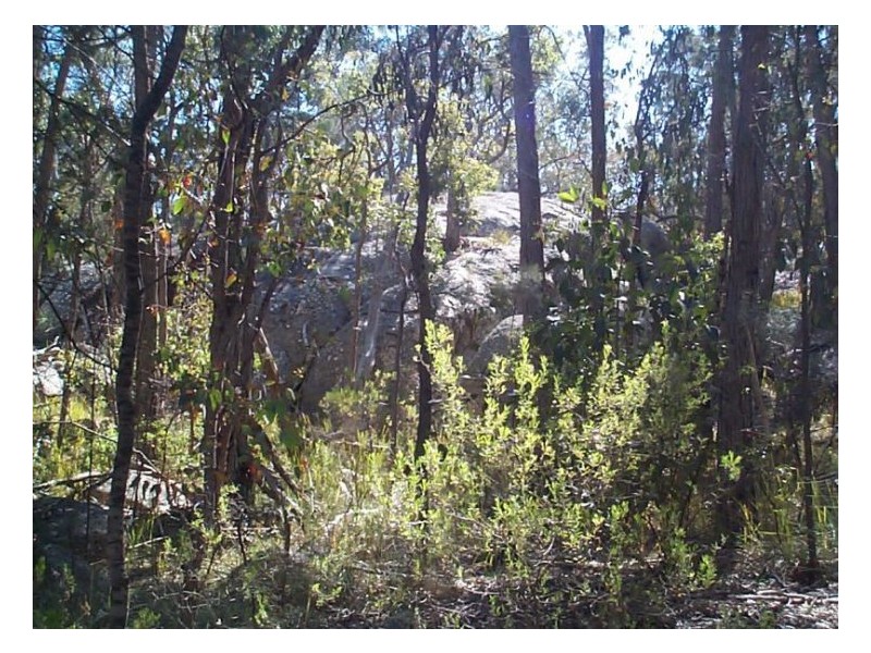 130 Browns Lane, Stanthorpe QLD 4380