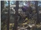 130 Browns Lane, Stanthorpe QLD 4380
