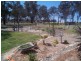 775 Texas Road, Stanthorpe QLD 4380