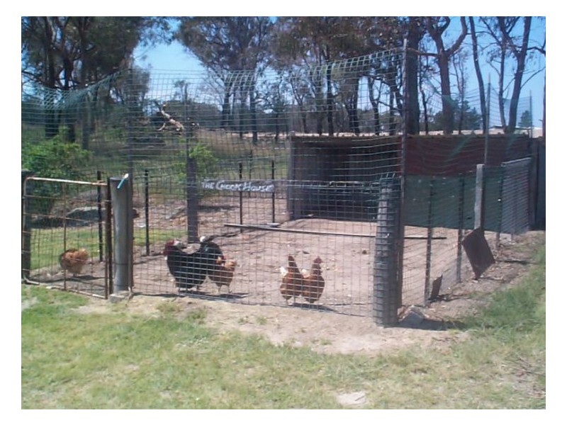 775 Texas Road, Stanthorpe QLD 4380