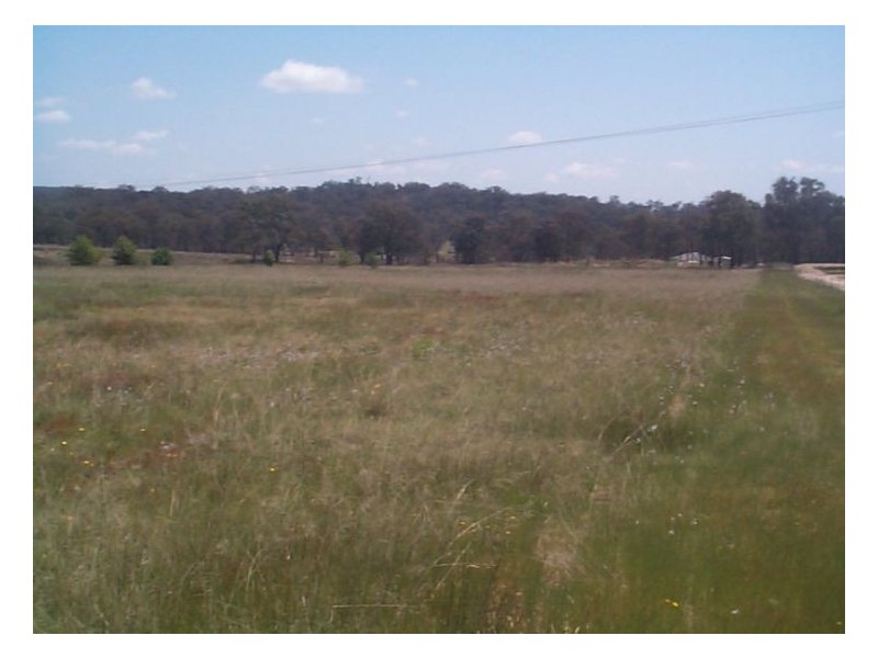775 Texas Road, Stanthorpe QLD 4380
