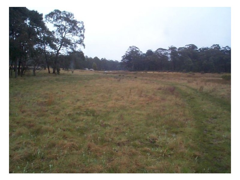 3253 Mt Lindsay Road, Stanthorpe QLD 4380