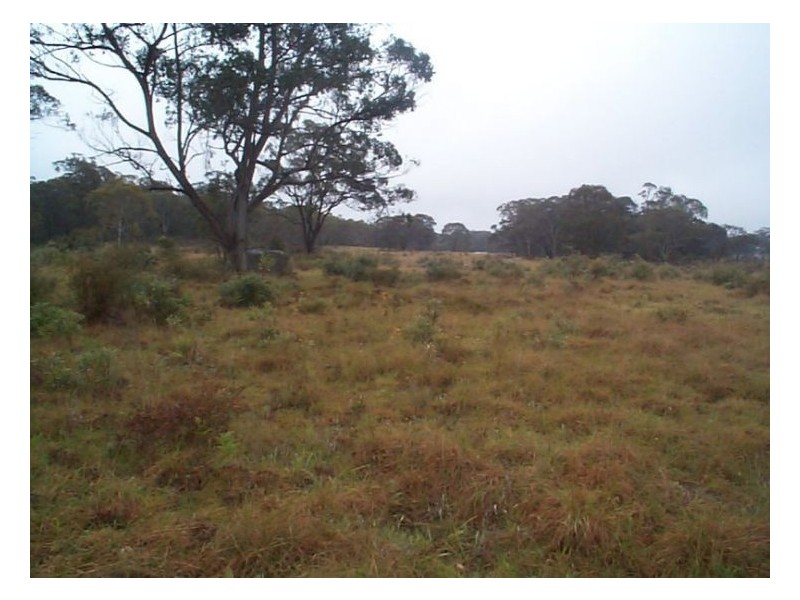 3253 Mt Lindsay Road, Stanthorpe QLD 4380