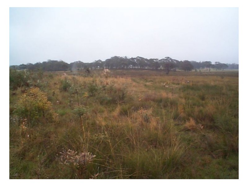 3253 Mt Lindsay Road, Stanthorpe QLD 4380