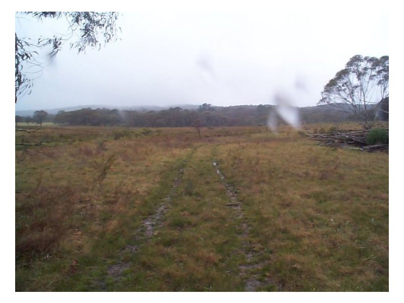 3253 Mt Lindsay Road, Stanthorpe QLD 4380