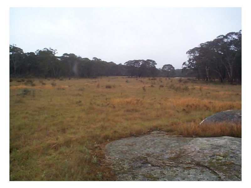 3253 Mt Lindsay Road, Stanthorpe QLD 4380