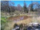 387 Amosfield Road, Stanthorpe QLD 4380