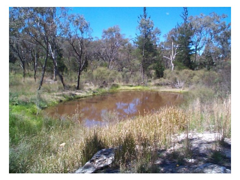 387 Amosfield Road, Stanthorpe QLD 4380