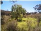 387 Amosfield Road, Stanthorpe QLD 4380