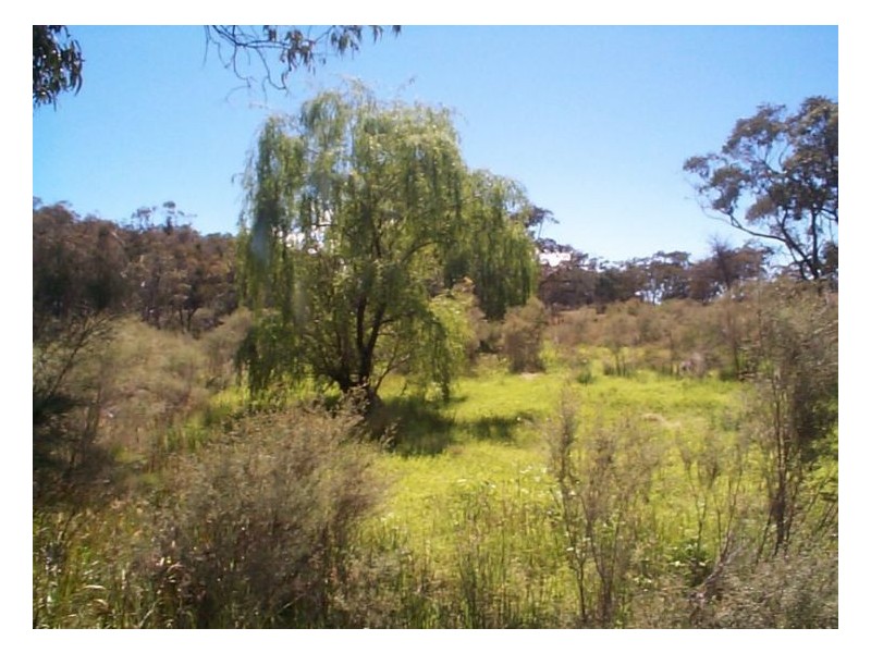 387 Amosfield Road, Stanthorpe QLD 4380
