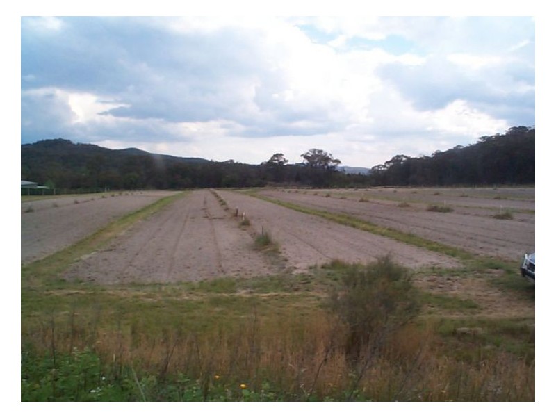 Applethorpe QLD 4378