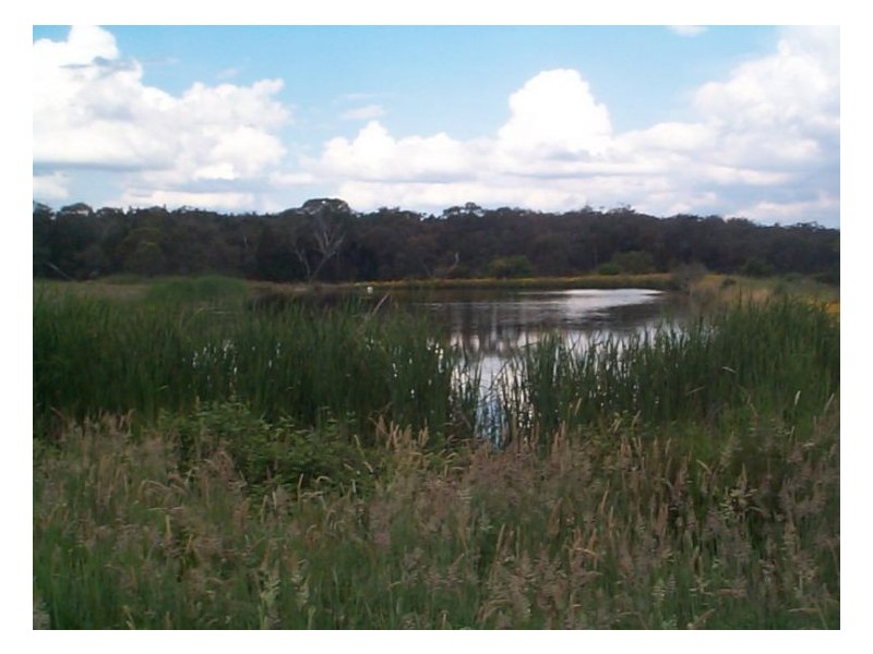 Applethorpe QLD 4378