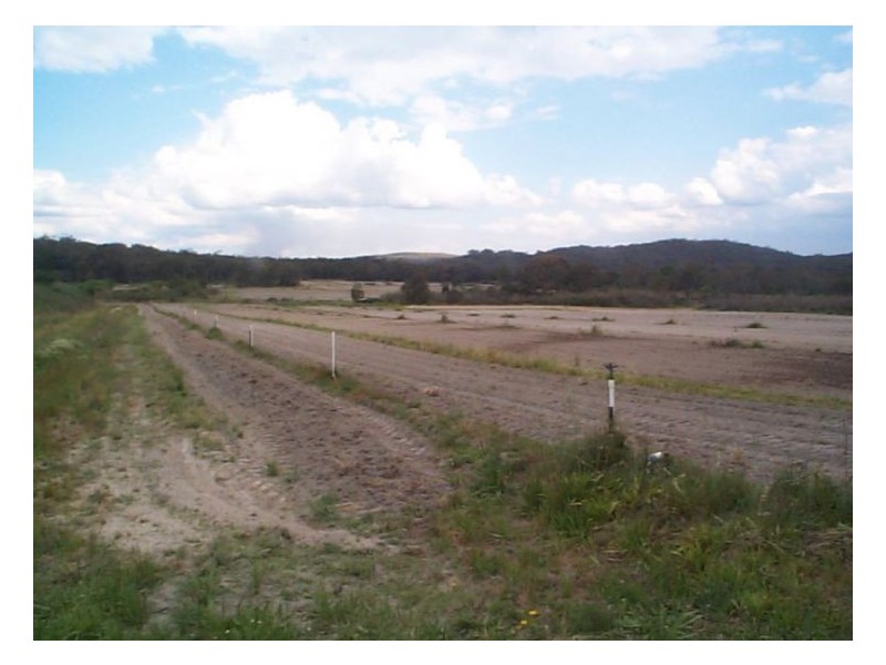 Applethorpe QLD 4378