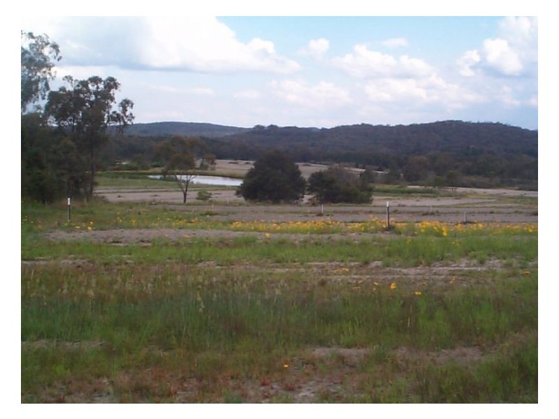 Applethorpe QLD 4378