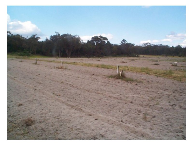 Applethorpe QLD 4378