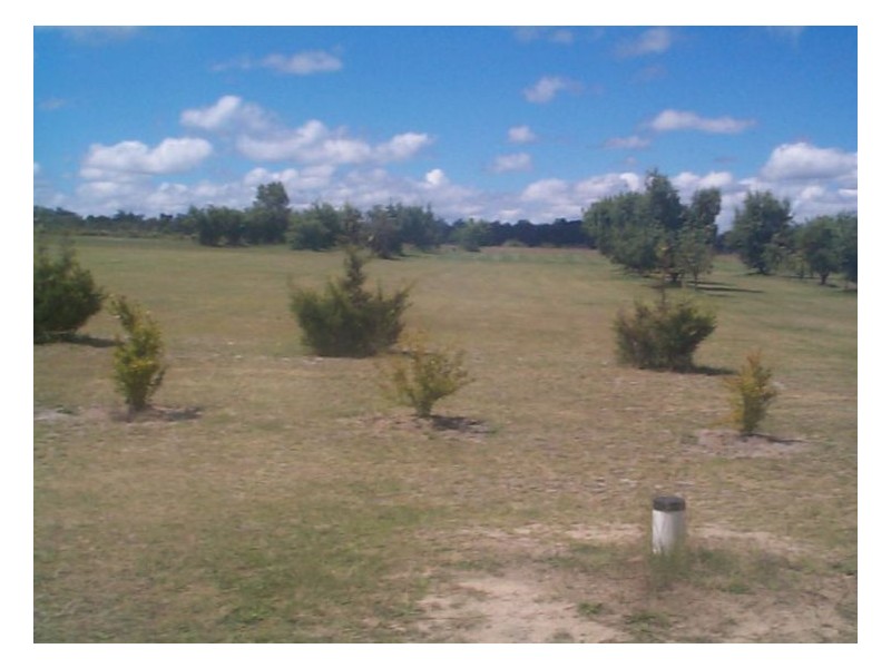 526 Old Warwick Road, The Summit QLD 4377