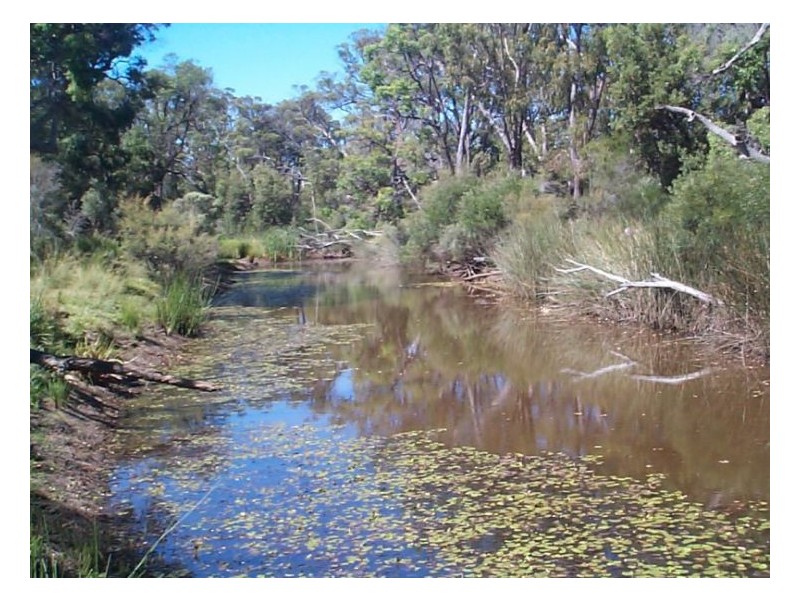 222 Diamondvale Road, Stanthorpe QLD 4380