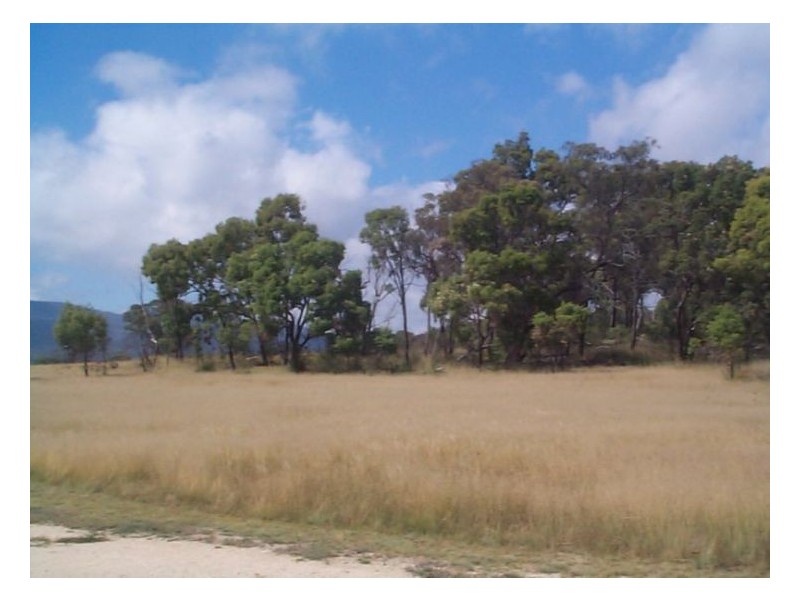 33 Curtin Road, Ballandean QLD 4382