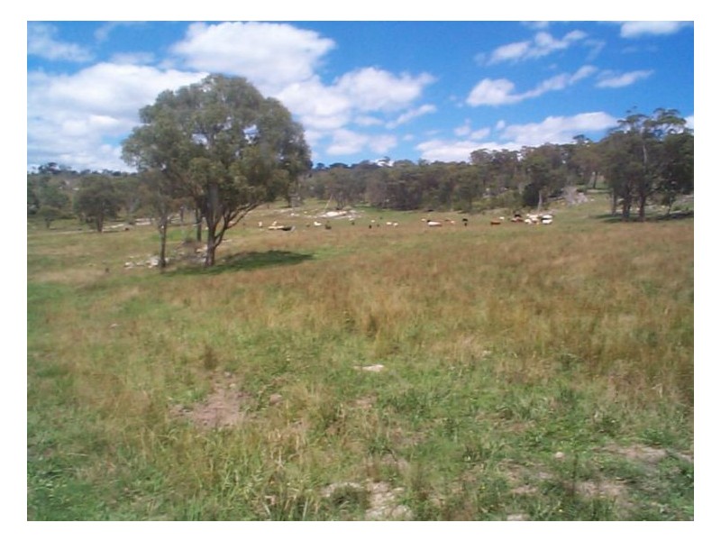 929 Mt Tully Road, Stanthorpe QLD 4380