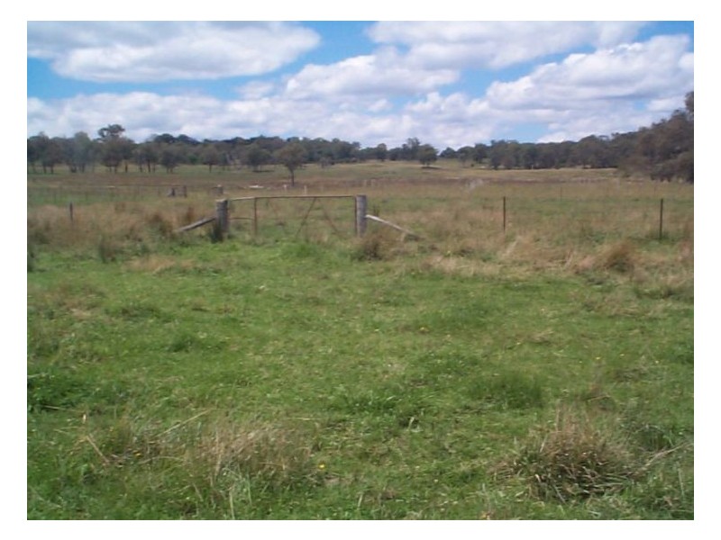 929 Mt Tully Road, Stanthorpe QLD 4380