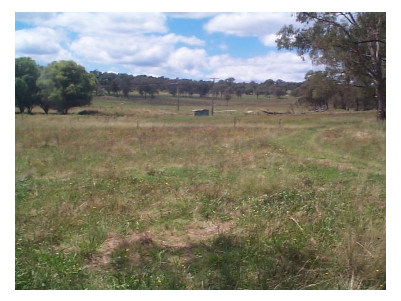 929 Mt Tully Road, Stanthorpe QLD 4380