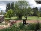 30 Roessler Av, Applethorpe QLD 4378