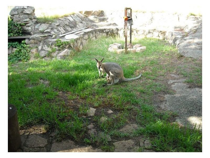 1121 Pyramids Road, Stanthorpe QLD 4380