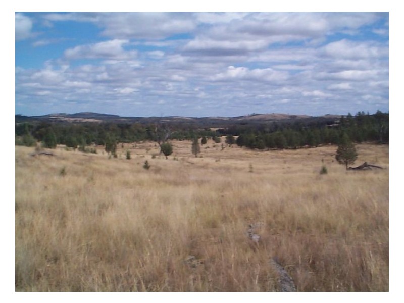 5192 Inglewood Road, Stanthorpe QLD 4380