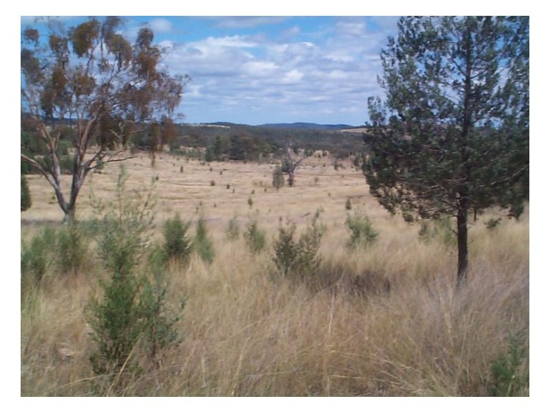 5192 Inglewood Road, Stanthorpe QLD 4380