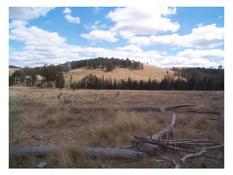 5192 Inglewood Road, Stanthorpe QLD 4380