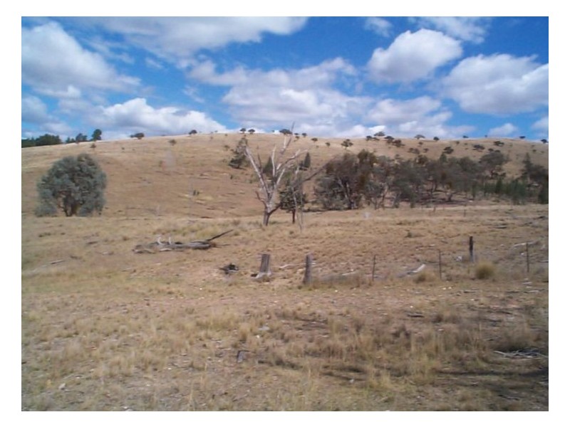 5192 Inglewood Road, Stanthorpe QLD 4380
