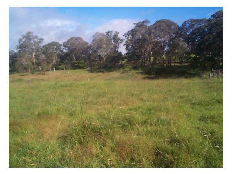 85 Stanthorpe Street, Liston NSW 2372