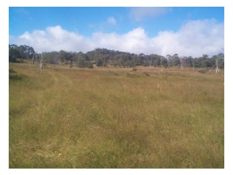 223 Wylie Creek Road, Stanthorpe QLD 4380