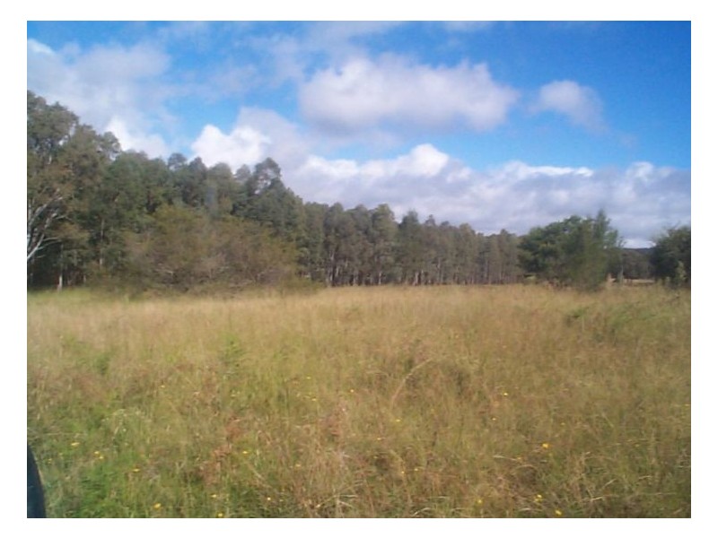 223 Wylie Creek Road, Stanthorpe QLD 4380