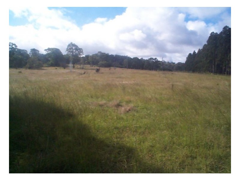 223 Wylie Creek Road, Stanthorpe QLD 4380