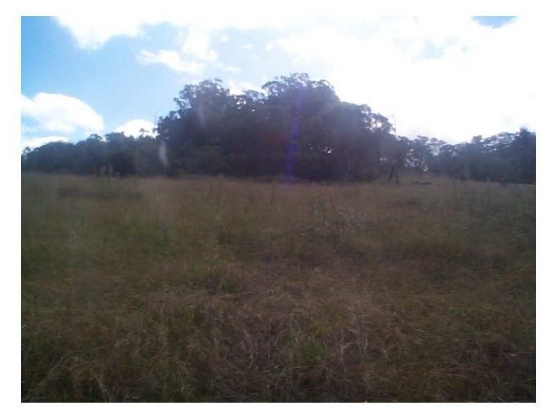 223 Wylie Creek Road, Stanthorpe QLD 4380