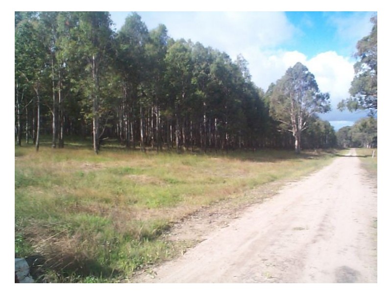 223 Wylie Creek Road, Stanthorpe QLD 4380