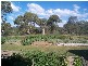Dalveen QLD 4374
