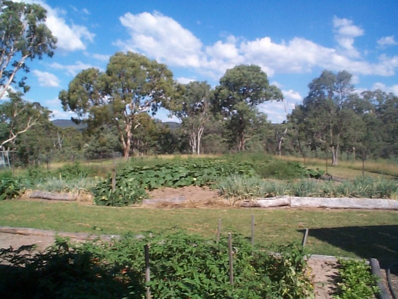Dalveen QLD 4374