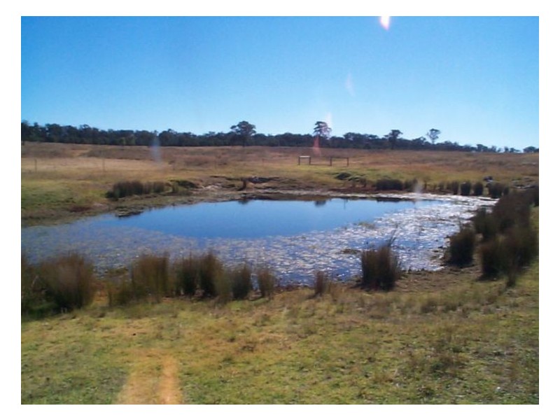 54 Rene Lane, Stanthorpe QLD 4380