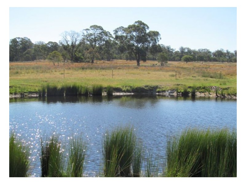 54 Rene Lane, Stanthorpe QLD 4380