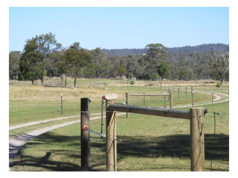 54 Rene Lane, Stanthorpe QLD 4380