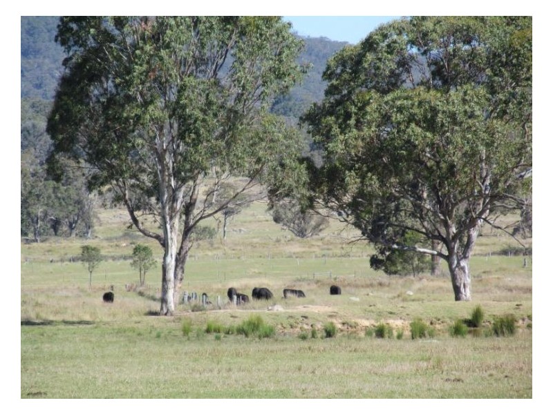 54 Rene Lane, Stanthorpe QLD 4380