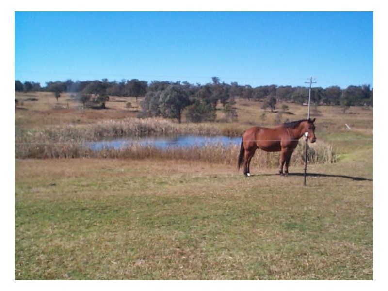 54 Rene Lane, Stanthorpe QLD 4380