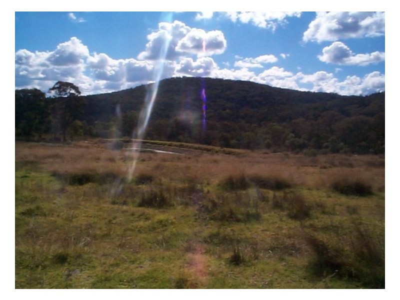 385 Back Creek Road, Severnlea QLD 4352